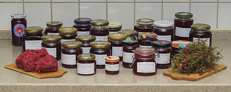 Rows of jars of homemade redcurrant jam